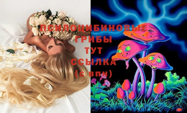 стаф Беломорск