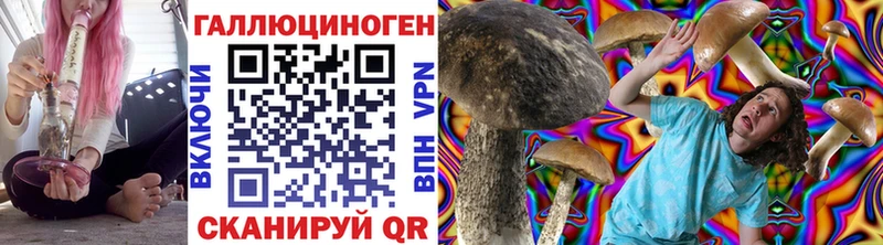 маркетплейс как зайти  Лабинск  Галлюциногенные грибы Cubensis 